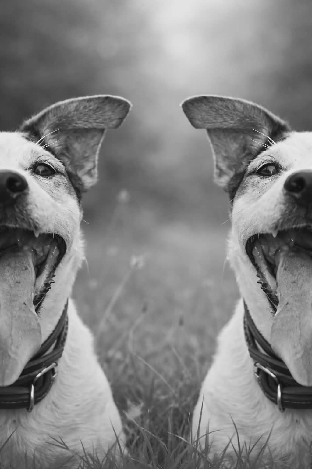 aa48c9c6-a883-4430-ad21-dff2cbd2f73e