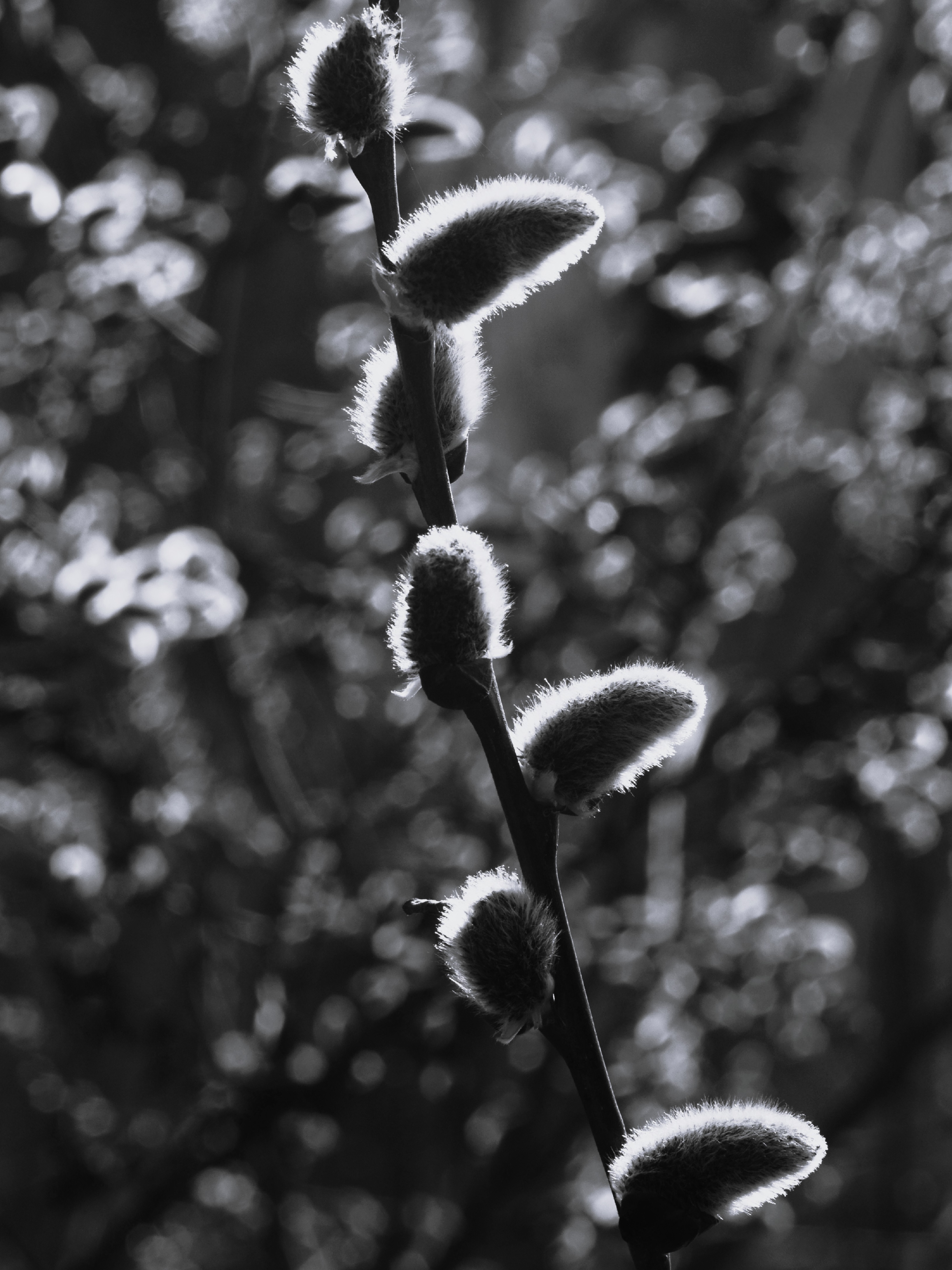 DSC_0575.JPGbv.JPGjk