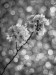 78367008-b607-4f21-9486-28eedf578e38.JPGjh
