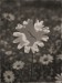 2f19d316-f938-4faa-ba29-e1d109597493