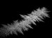 e97917e9-8259-4b94-a6ba-a8c3b73cbc73